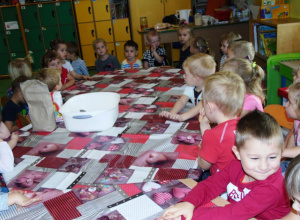 "Od ziarenka do bochenka" - każdy już przedszkolak wie, jak powstaje pyszny chleb!