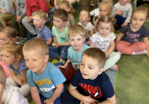 Zdjęcie 13 na 25