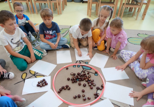 Zdjęcie 18 na 81