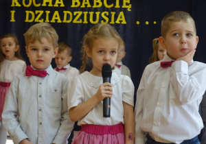 Zdjęcie 45 na 118