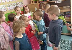 Zdjęcie 27 na 115