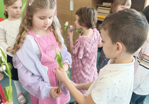 Zdjęcie 30 na 115