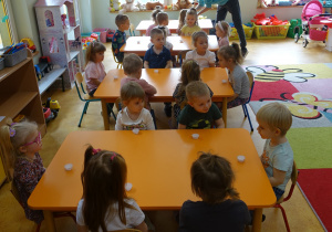 Zdjęcie 14 na 63