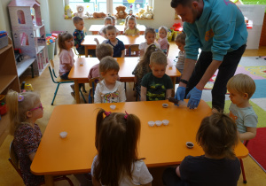 Zdjęcie 15 na 63