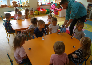 Zdjęcie 16 na 63