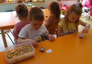 Zdjęcie 23 na 63