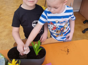 Wiosenne sadzenie kwiatów w grupie Krasnoludki.