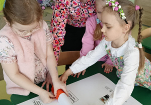 Zdjęcie 24 na 43