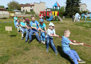 Zdjęcie 73 na 117