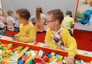 Zdjęcie 22 na 114