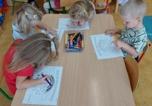Zdjęcie 11 na 18